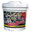 Lucky Buck Mineral