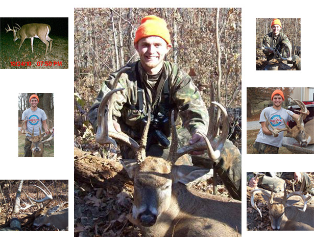 collage of a nice deer taken in a W-A-R plot